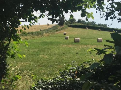 a group of hay bales in a field at Holiday Home in St Honoré with Scenic Views in Saint-Honoré-les-Bains