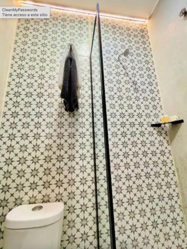 a bathroom with a toilet and a shower stall at Bugambilia Azul Centro Oaxaca in Oaxaca City