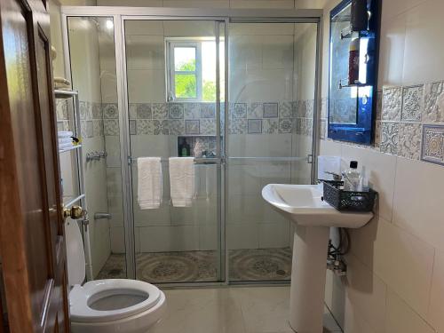 Gallery image of Auglo villa house in Black River