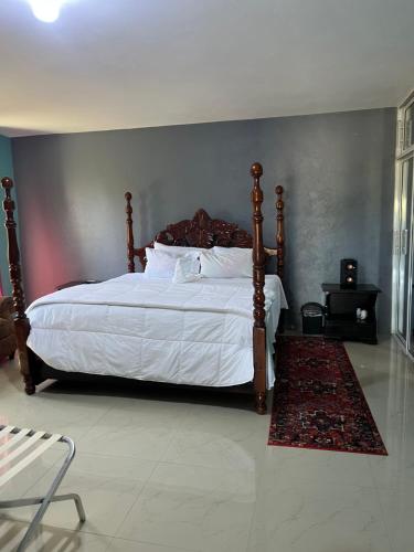 Gallery image of Auglo villa house in Black River