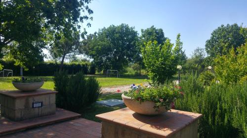 a garden with two large pots of flowers on a table at Agriturismo Pettinari in Marina di Grosseto
