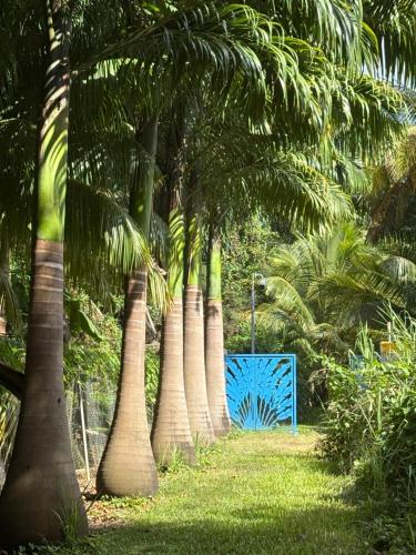 a row of palm trees with a blue gate at Le Paradis de la Guadeloupe in Pointe-Noire