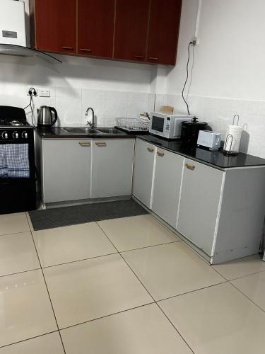 a kitchen with a sink and a microwave at Easy Apartment- 36 Varani street flat 3&flat 6 in Suva