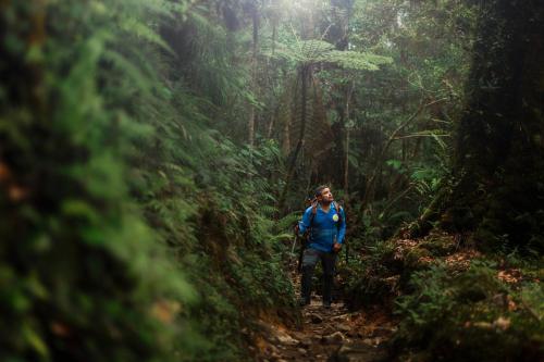 a man walking on a trail in the rainforest at Route to Cerro Urán - Chirripó in Rivas