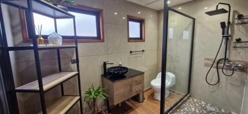 Un baño con ducha, lavabo e inodoro. en Mary y Luis, en Coyhaique