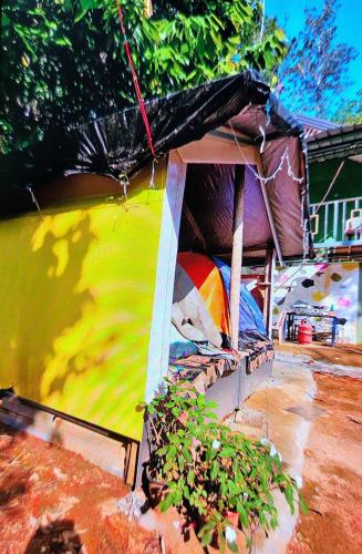a colorful house with a canopy and a plant at Green porticos villa munnar #MUNNAR in Anachal