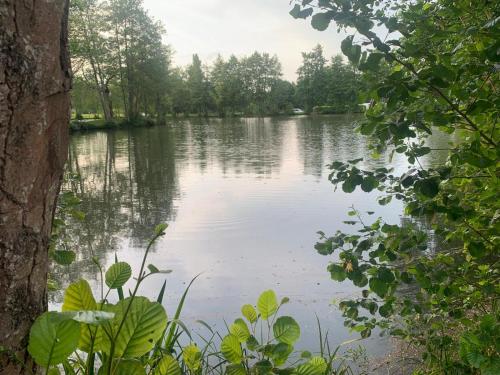 a view of a lake with trees in the background at Chambres Senonches centre-ville in Senonches