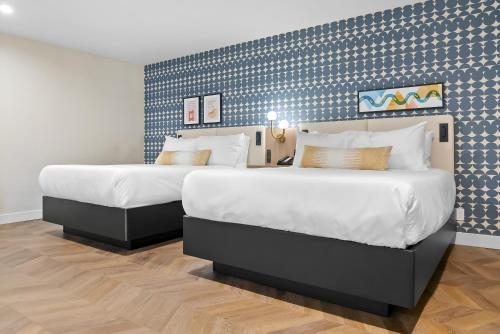 two large beds in a room with blue walls at Star Motel in San Francisco