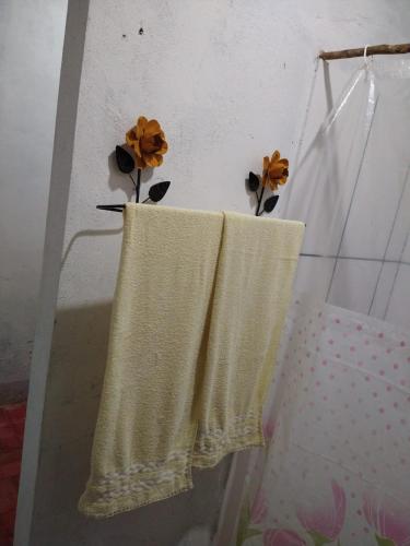 Bilik mandi di Pousada Suçuarana