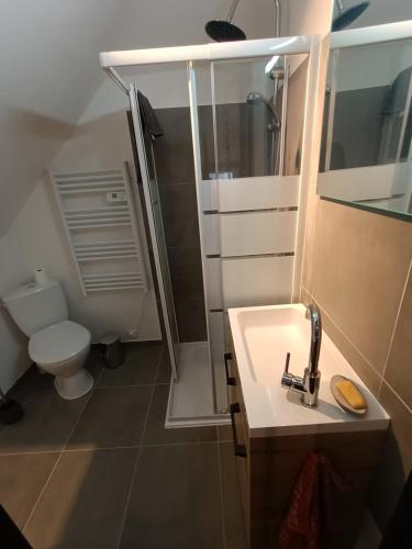 une salle de bain avec une douche, un lavabo et des toilettes dans l'établissement Studio en duplex 24H du Mans, à Étival-lès-Le Mans