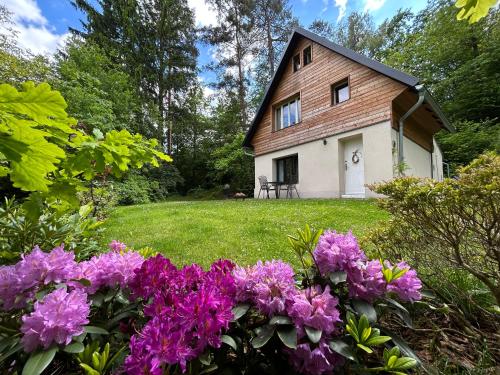 Cosy chalet with wellness