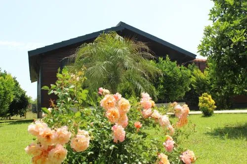 Çıralı Villa's