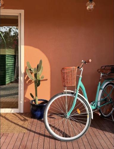 a blue bike parked next to a house with a cactus at Palm Oasis Guest House in Dubai