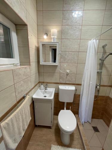 a bathroom with a toilet and a sink and a shower at Rózsa Apartman Dombori in Fadd-Dombori