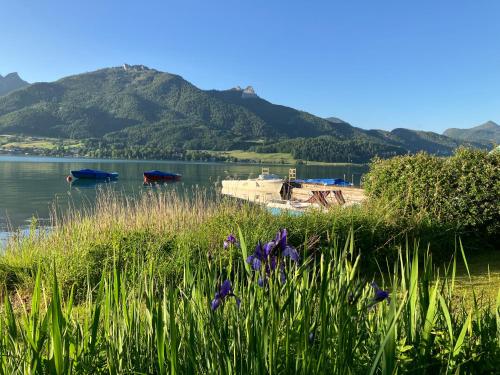 a view of a lake with mountains in the background at Appartement Sport Girbl in Strobl