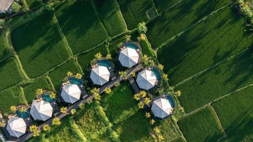 Zahrada ubytování TheWakanda Resort A Pramana Experience