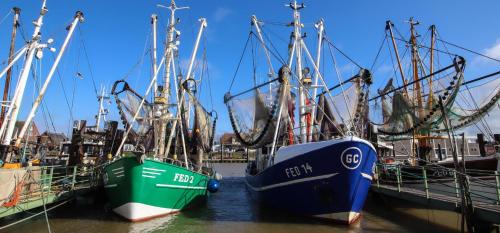 a group of boats docked in a harbor at Ferienhaus Strandallee 8 in Burhave