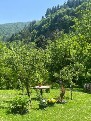a picnic table in the middle of a field with trees at Apartament LashaGiorgi in Borjomi