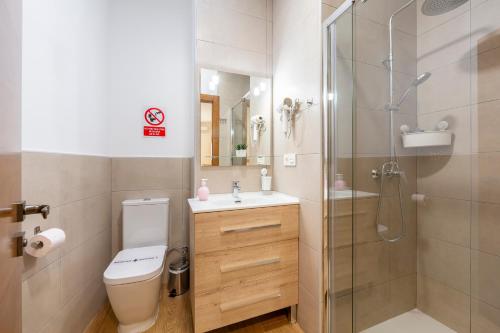 a bathroom with a shower and a toilet and a sink at La Casa de la Buhardilla in Fondón