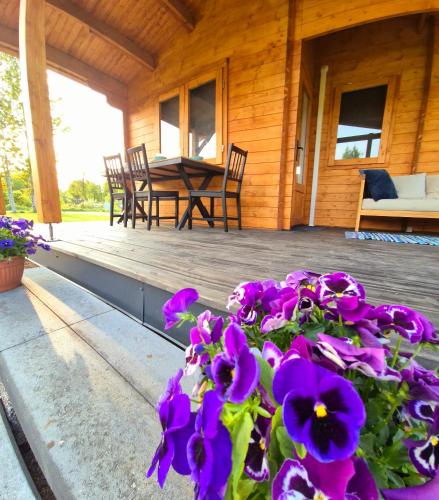 a pot of purple flowers on the porch of a house at Sea breeze Apšuciems in Apšuciems