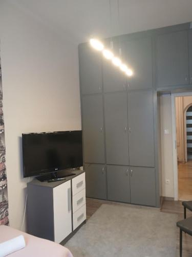 TV a/nebo společenská místnost v ubytování Soda apartman
