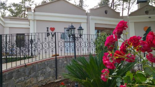 Pine Valley Hotel Oludenizにある庭
