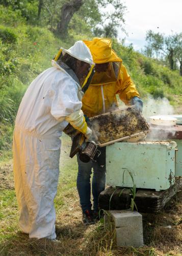 two people in protective gear working on a beehive at Agriturismo Due Comuni in San Gervasio