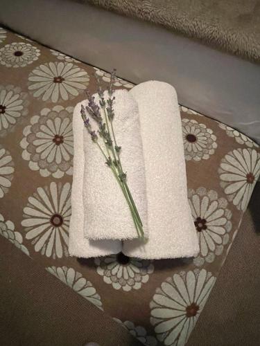 a napkin with a vase of flowers sitting on a table at Moments Guesthouse, Kleinmond in Kleinmond