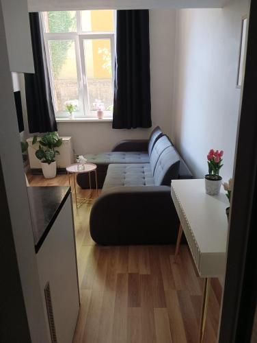 Kawalerka w Centrum Miasta