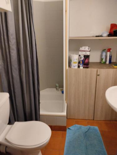 une salle de bain avec toilettes et baignoire dans l'établissement Studio Jardin Argelès plage, à Argelès-sur-Mer