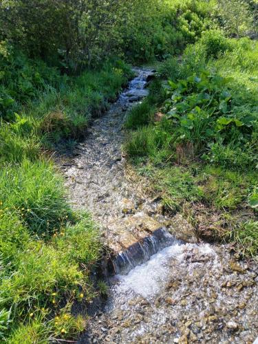 a stream of water in a field of grass at Le Chardon Vert in Valmeinier