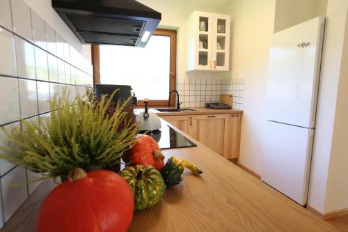 a kitchen with a bunch of vegetables on a counter at Domki na Kaszubach - nad jeziorem z balią i sauną in Bytów