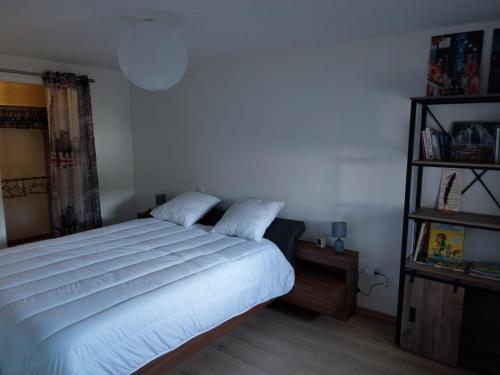 a bedroom with a white bed and a book shelf at Belle appartement à Bois d'Amont in Bois-dʼAmont