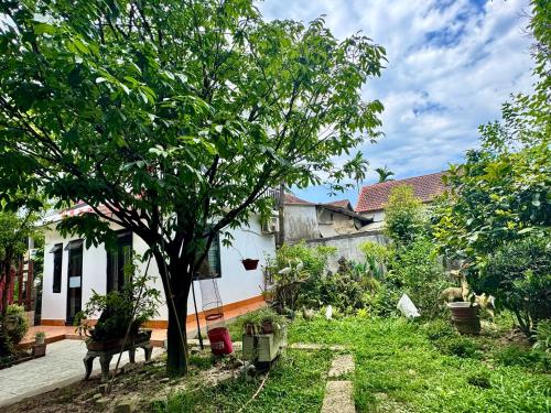 a garden with a tree and a house at Live like a local Homestay in Ấp Tư Tây