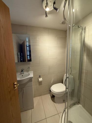 a bathroom with a toilet and a sink and a shower at Crescent Hotel in Reading