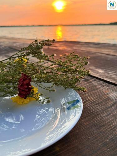 a white plate with a flower on top of it at Nilawin Hotels & Resorts in Chilaw