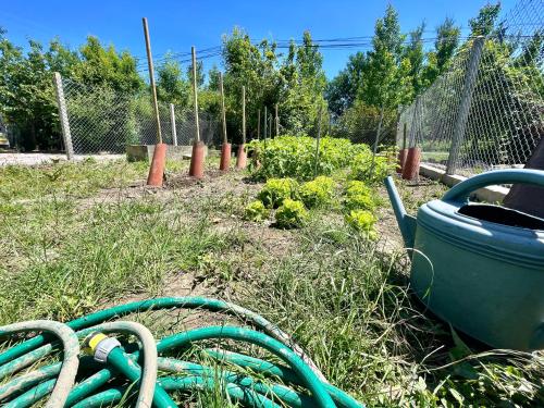 a garden with a garden hose and a fence at " Ô Chai Nous " 14 pers - Billard, Babyfoot - Structure de Jeux in Poucharramet
