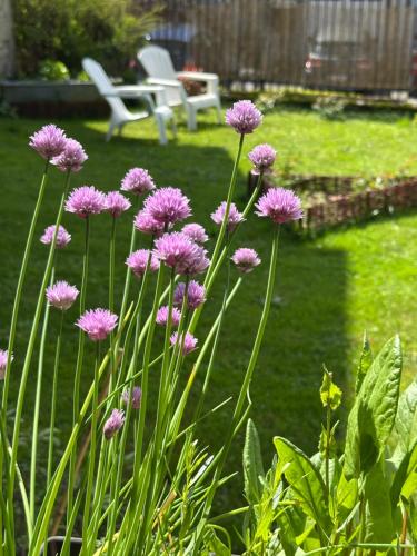 Un jardín fuera de Logis des pinces maillées