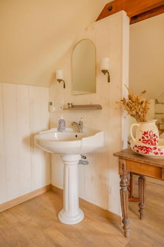 une salle de bain avec un lavabo blanc et un miroir dans l'établissement Manoir saint Eusèbe, à Gennes