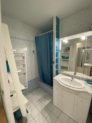 une salle de bain avec un lavabo et une douche dans l'établissement Appartement Le Leon, à La Rudelière