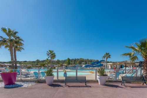 - une piscine dans un complexe avec 2 bancs et des palmiers dans l'établissement Le Mediterranéen, à Fréjus