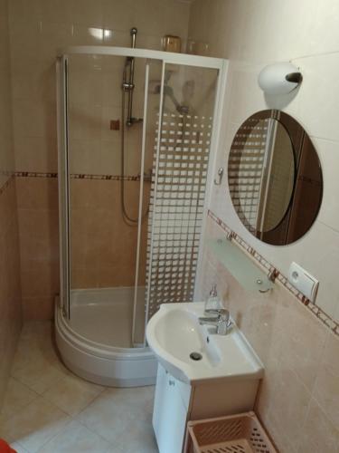 a bathroom with a shower and a sink and a mirror at Albatros in Mikołajki