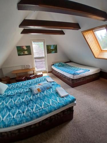 two beds in a bedroom with two windows at Albatros in Mikołajki