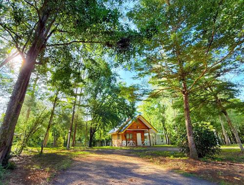 a small wooden cabin in the middle of a forest at The Golden View Resort สวนผึ้ง in Suan Phung