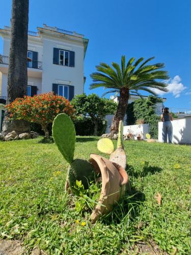 Casa Giulia Azzurra Sirena