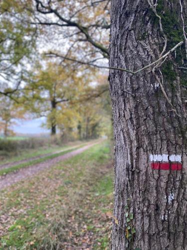 a tree with a red and white paint on it at Domaine la Boulinière - Le Faisan in Journet