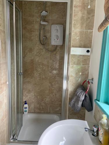 ein Badezimmer mit Dusche, Toilette und Waschbecken in der Unterkunft Charming1 bed flat in Hastings