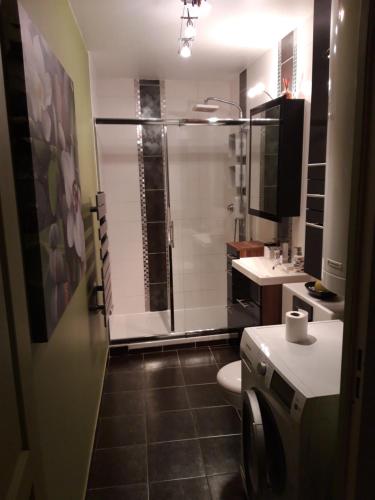 een badkamer met douche, toilet en wastafel bij Le centre historique au calme in Dinan