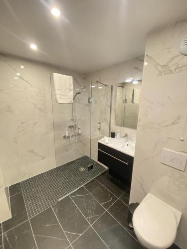 a bathroom with a shower and a toilet and a sink at Montana Dijon in Dijon