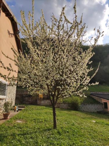 Zahrada ubytování Cascina Bruna, un paradiso in Val Trebbia